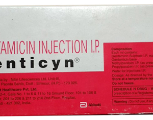 GENTICYN 10MG INJ