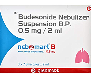 NEBZMART B 0.5MG SMARTULES 2ML